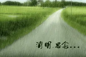 清明忆｜那细细的清明雨，分明是亲人们化作的漫天泪水！真难过图片