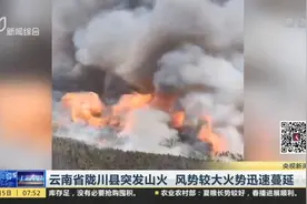 现场浓烟滚滚！云南省陇川县突发山火，风势较大火势迅速蔓延视频封面