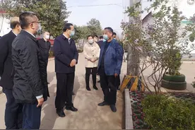 潍坊青州市委书记韩幸福调研市政道路改造提升和弥河镇重点工作图片