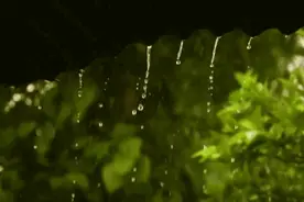 湘江株洲站水位开始下降！我市汛情趋势如何？权威信息来了图片