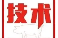 猪场8个环节的清洗消毒，保证消毒切实有效「国药动保•圆支康」图片