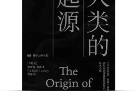 露西的旅程图片
