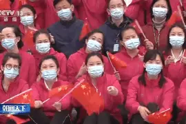 奉献过汗水 流过泪水 武汉同济医院送别支援医疗队图片