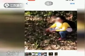 小心违法！景区春笋屡屡被偷挖，破坏生态将按条例处罚图片