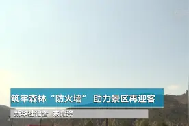 筑牢森林“防火墙” 助力景区再迎客视频封面
