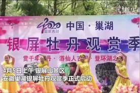 安徽巢湖：银屏山千年牡丹开启最佳赏花季视频封面