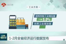 1-2月江苏全省经济运行数据发布，医药行业同比增长3.5%视频封面