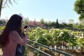 这就是山东 抖一抖牡丹 |天香公园迎来客流小高峰图片