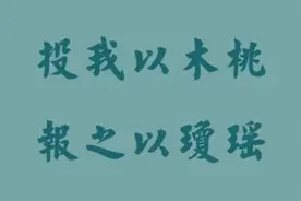投我以木桃，报之以琼瑶图片