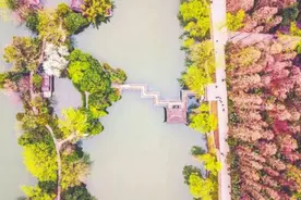 赏“合肥十景”享“春色满城”图片
