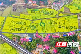 一个行动激活一座城——衡山县实施“项目建设三年行动”侧记图片