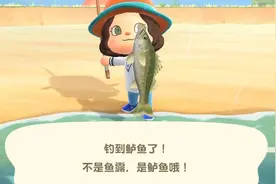 动物森友会里的鱼要怎么吃？图片