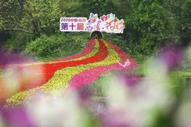 花花花花……西溪花朝节，给你一个花花世界图片
