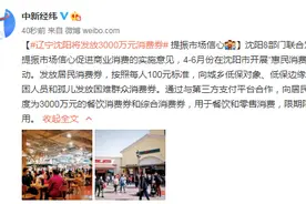 辽宁沈阳：将发放3000万元消费券 提振市场信心图片