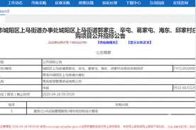 打造乡村振兴齐鲁样板 上马九个村庄规划公开招标图片