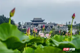 李跃龙：湖湘经典十句（下）图片