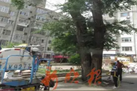 160岁、240岁……看看冰城“老寿星”都“藏”在哪儿图片