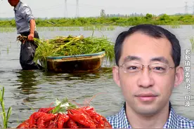 经济日报联合每日一淘“为鄂助力”：潜江龙虾4月8日“C位复出”图片