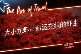 小龙虾pk掉大龙虾，真不是因为中国人穷图片