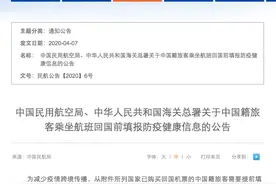 今起中国人从这26国回国，不填报这些信息不能登机！图片