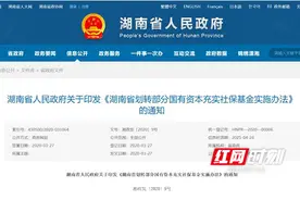 增进民生福祉！湖南将划转部分国有资本充实社保基金图片