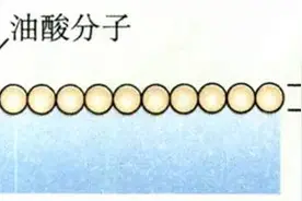 为什么菜油倒海上能救命？这道题美国学霸国父也不会做图片