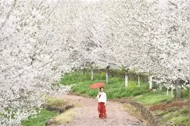嵊州市崇仁镇打造特色美丽风景线推行全域乡村旅游图片