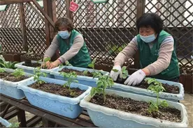 “天台农庄”春耕季来临 16名志愿者共同打理播下希望收获喜悦图片