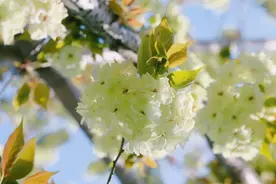 是心动啊！“花花世界”如约而至图片