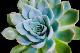 你可曾有过丢钥匙的经历图片