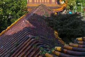 不负春光！长沙各景区开放指南 做好防护错峰出行图片