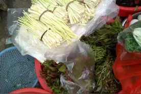难忘，那一抹独特的香椿情怀图片