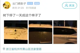 一夜之间，车子恶心成这副样子～最近杭州很多人中招...图片