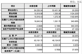 股价暴涨公司多次发文澄清“妖股”诚迈科技今收问询函图片