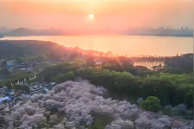 夜读 | 人间四月，是爱，是暖，是希望图片