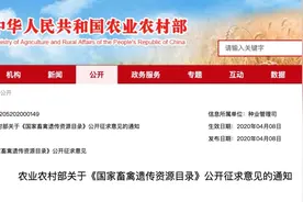 农业农村部征求意见，狗为伴侣动物或被禁食，你怎么看？图片