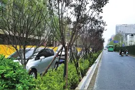 马路中间的铁栏杆“下线”郑州主干道将普及绿化隔离带图片