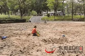 东莞植物园“园中园”儿童公园将升级改造，家长孩子有想法图片