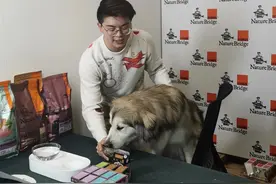 猫猫狗狗也直播“带货”！每场销售过千单图片