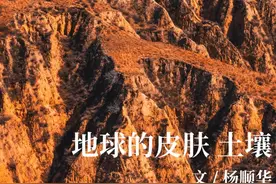 地球的皮肤：土壤图片