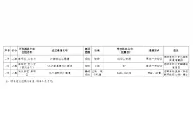 到2035年，上海规划布局3座长江干线过江通道图片