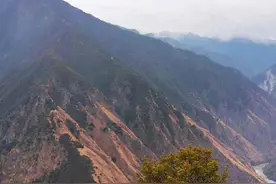 甘孜九龙森林火灾已扑灭 起火原因系雷击图片