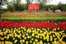 新疆塔城，来次说走就走的文化之旅图片