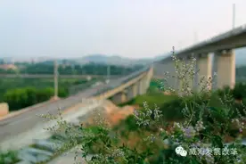 莱荣高铁最新进展来了图片