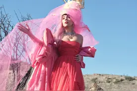 Lady Gaga粉色大片 尽显时尚感图片