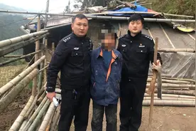 为挖笋偷锄头，磐安一男子被拘留图片