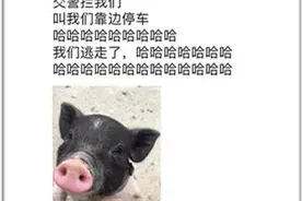 夫妻违停后逃离还连用29个“哈”发微信炫耀，已被交警处罚图片