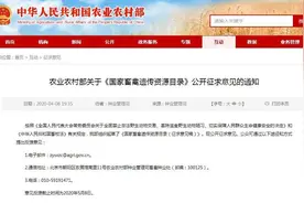 狗肉将可能禁食！可食用动物名单公开征求意见图片