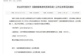 国家出手了！拟禁食狗肉，不再与猪、牛、羊、鸡并列！农业农村部正征求意见图片