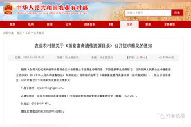 最新！“狗为伴侣动物拟禁食”，农业农村部征求意见图片